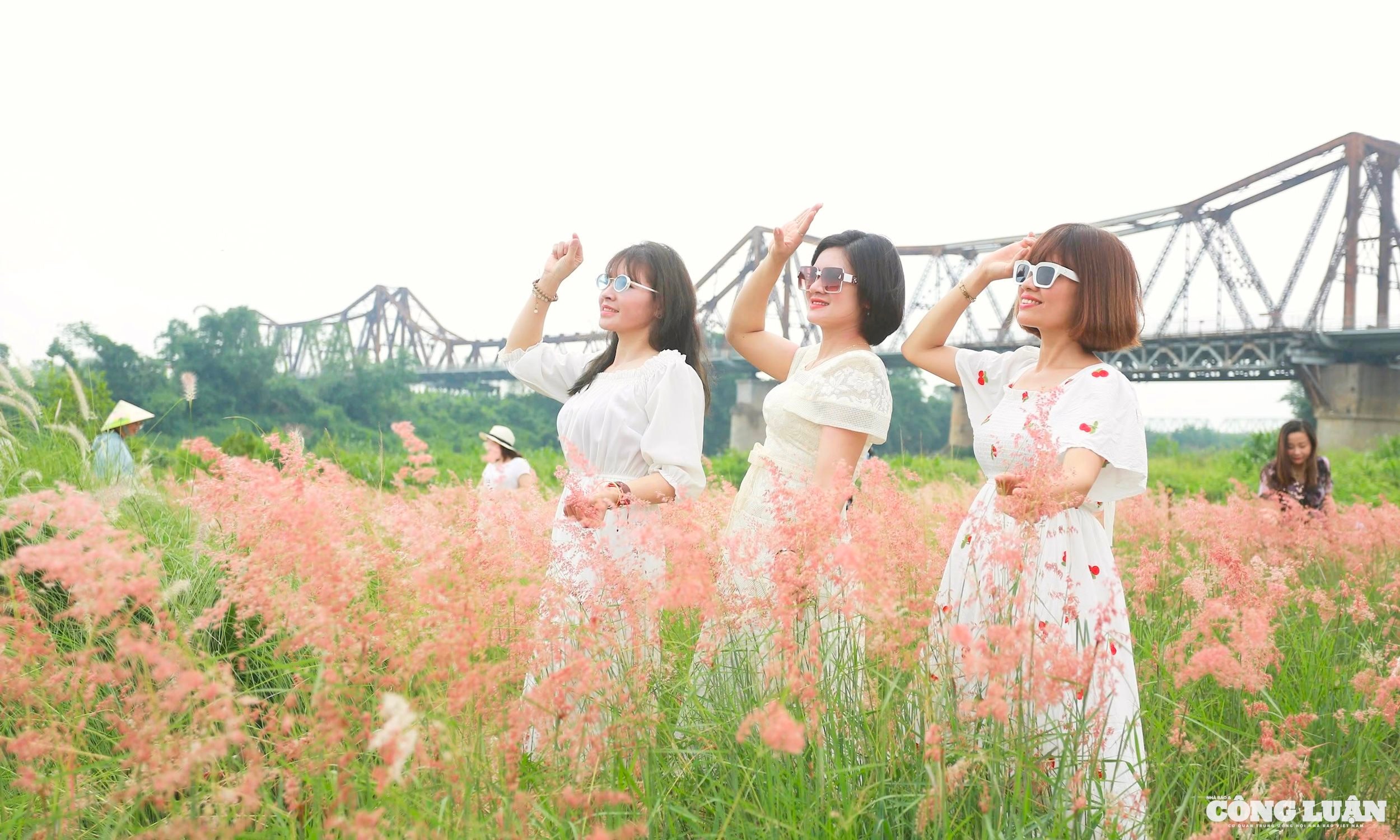 be660f98-dfcc-499f-a778-26da9a607ff6_1_201_a.jpeg
