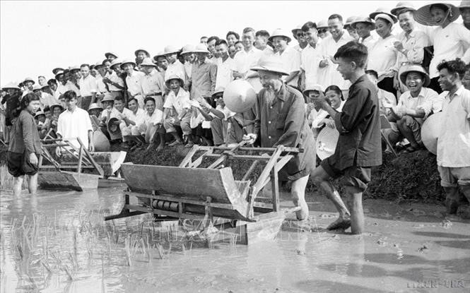 31-08-2024-nho-loi-can-dan-ve-xay-dung-dang-trong-di-chuc-cua-bac-ho-9c9474bb-details.jpg