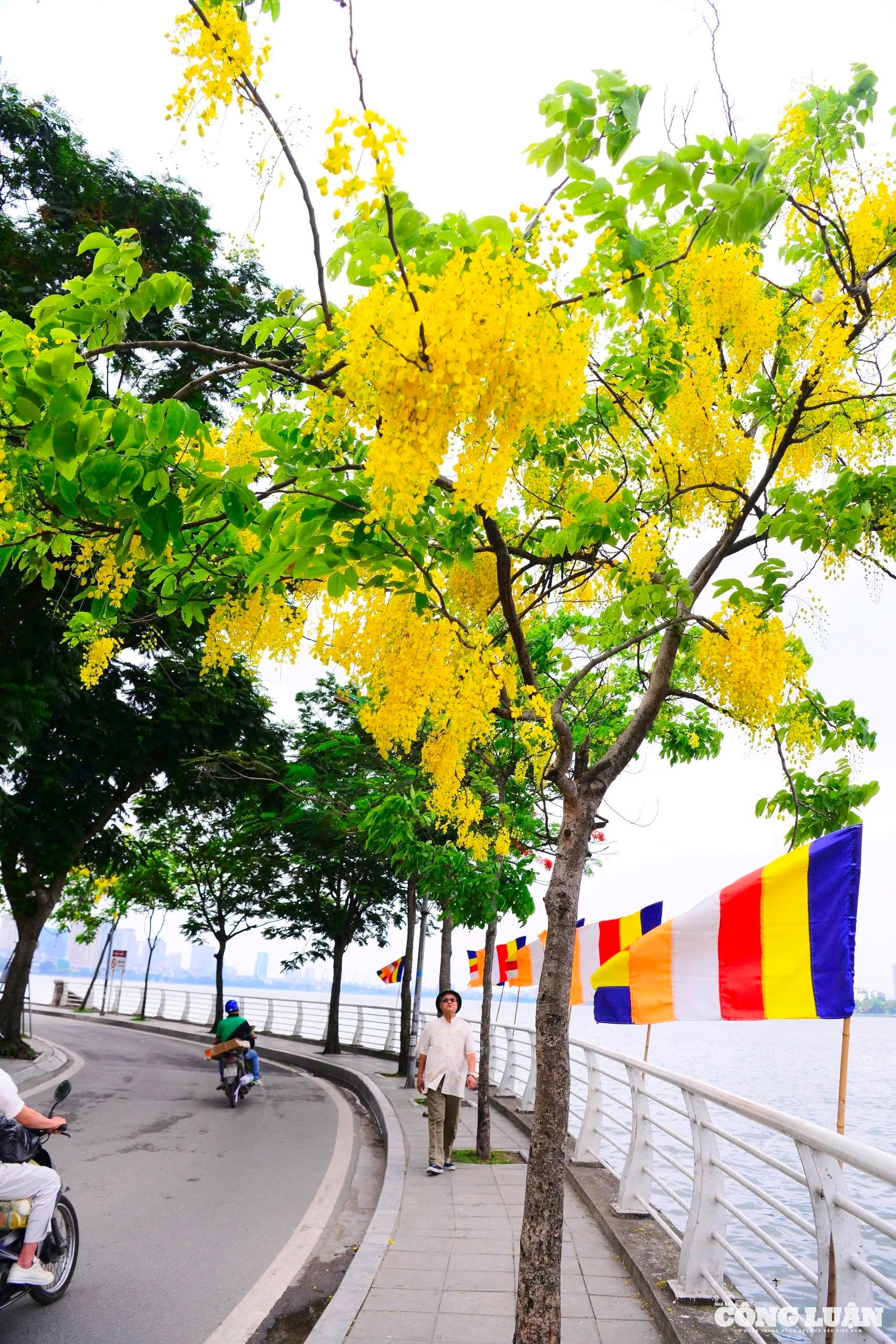 68cf2609-b1be-4855-ae28-ead53d21d450_1_201_a.jpeg