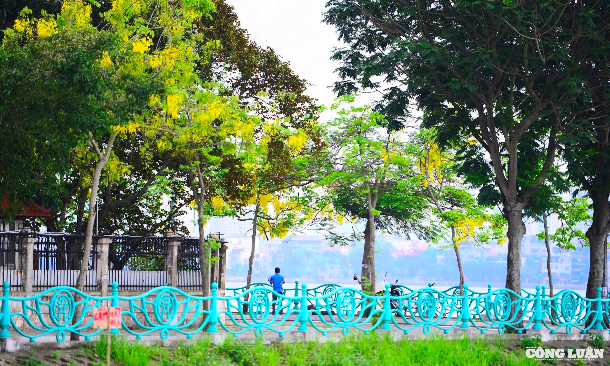 f2cf1098-8cfb-4317-81bc-221516d2dd69_1_201_a.jpeg