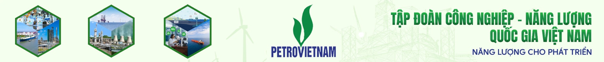 PetroVietNam