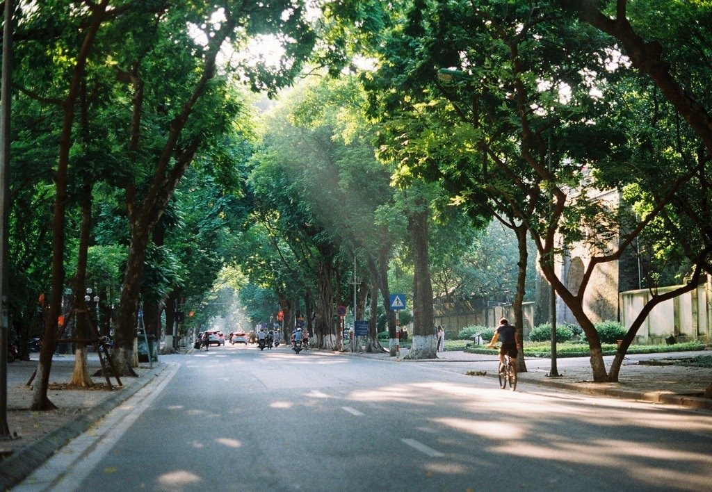 065921_2.jpg