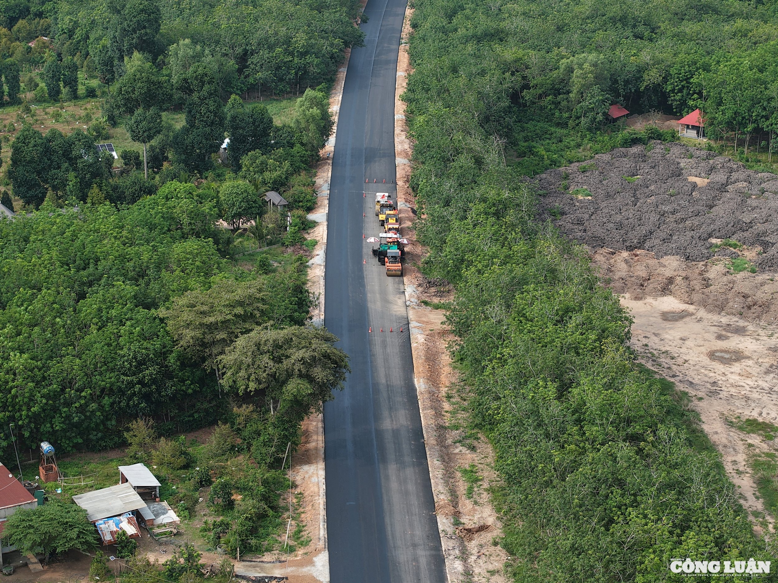 dji_20250520151231_0006_d.jpg