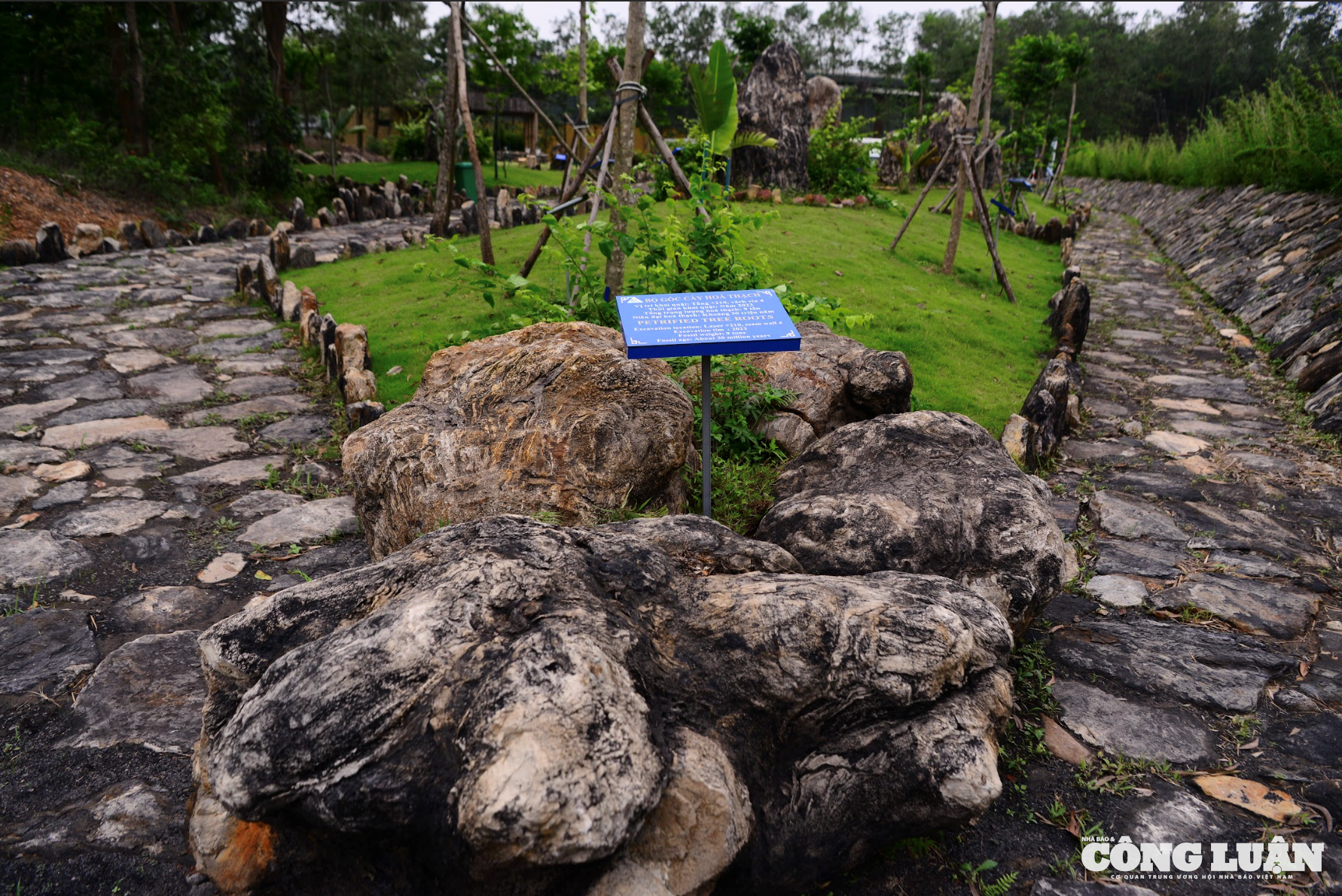 Ảnh màn hình 2025-05-28 lúc 09.19.33
