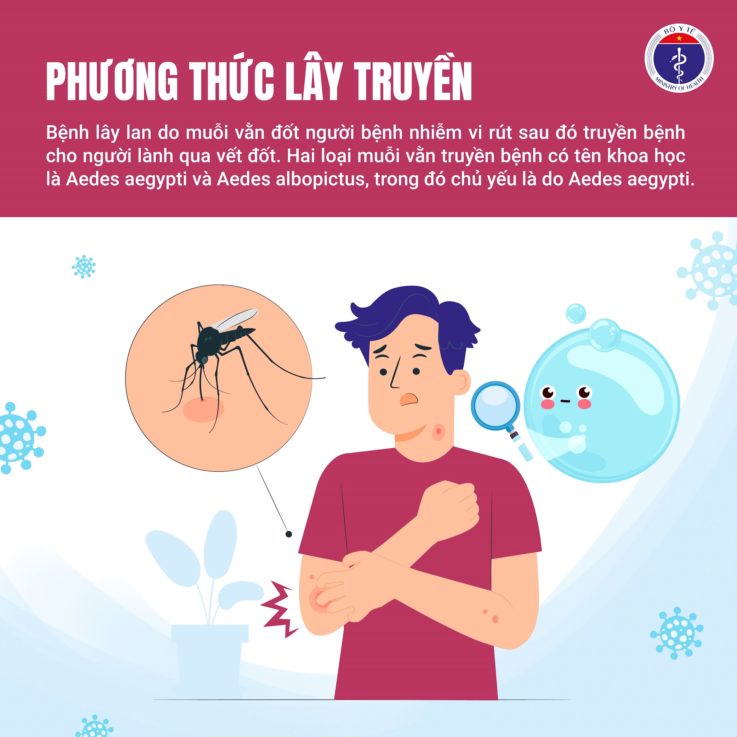 sốt xuất huyết-03