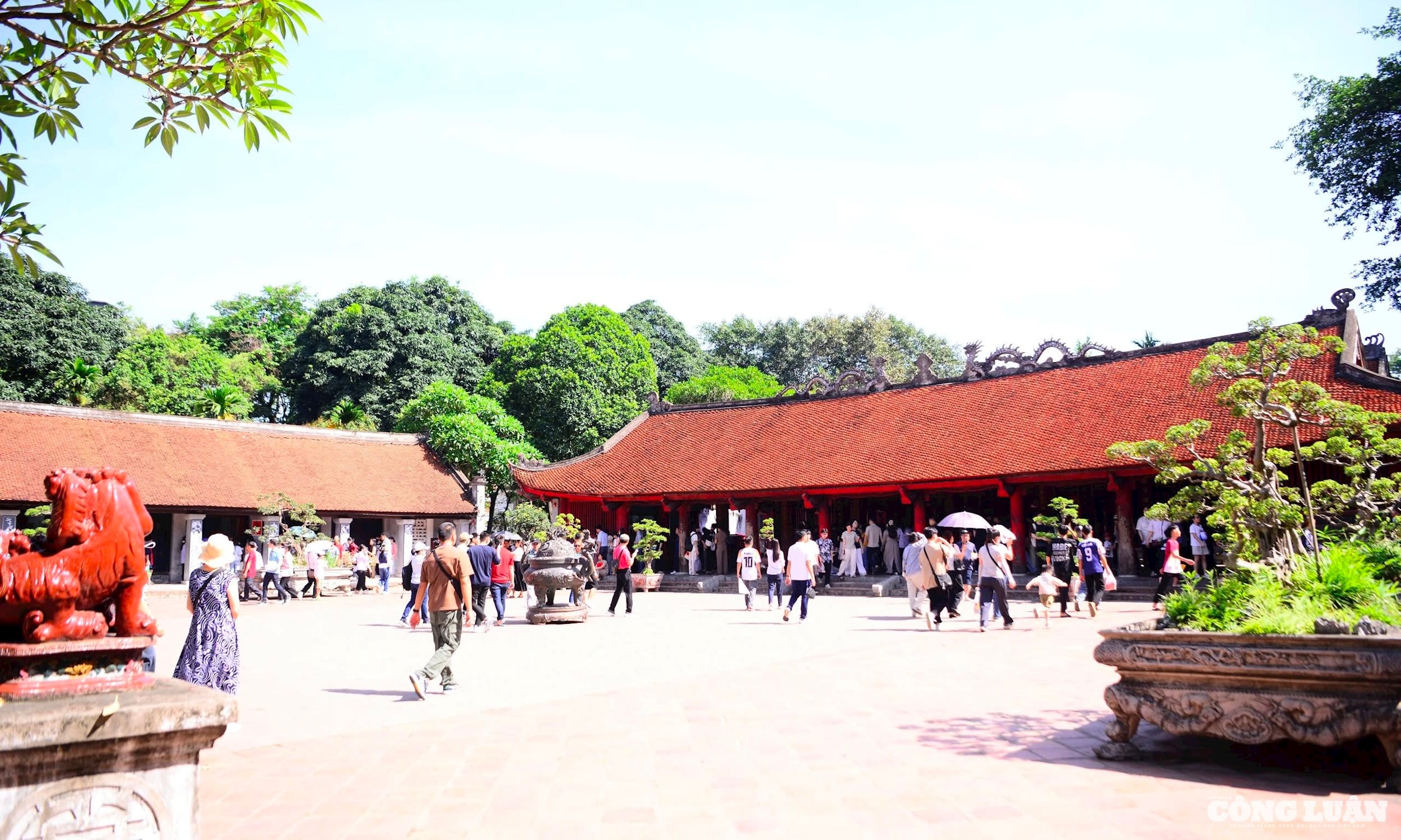 62f49e57-ab56-417b-bd53-ab2fc9833724_1_201_a.jpeg