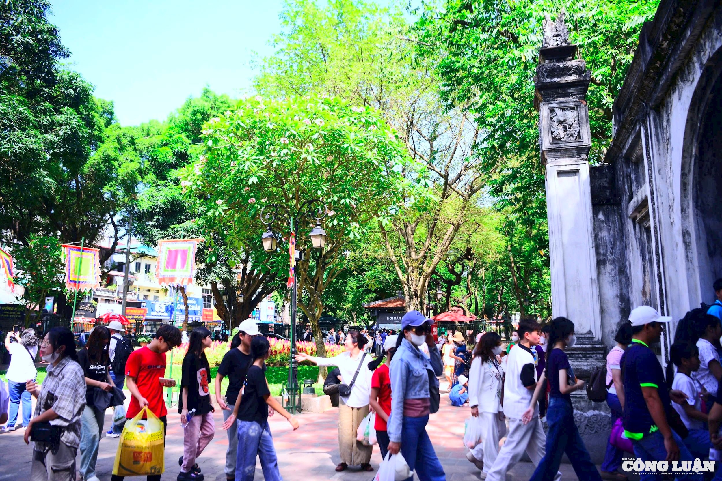 6610afa4-f774-4b6f-b8cb-77229487859f_1_201_a.jpeg