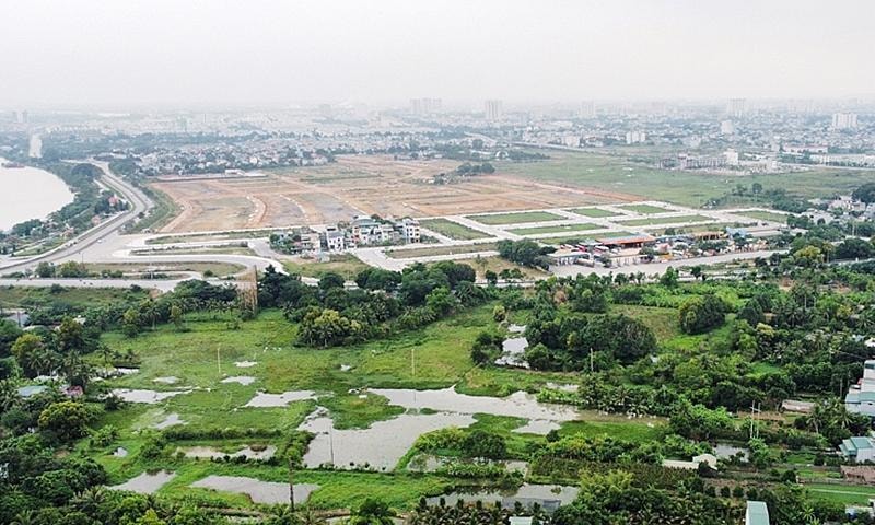minhhoa.jpg