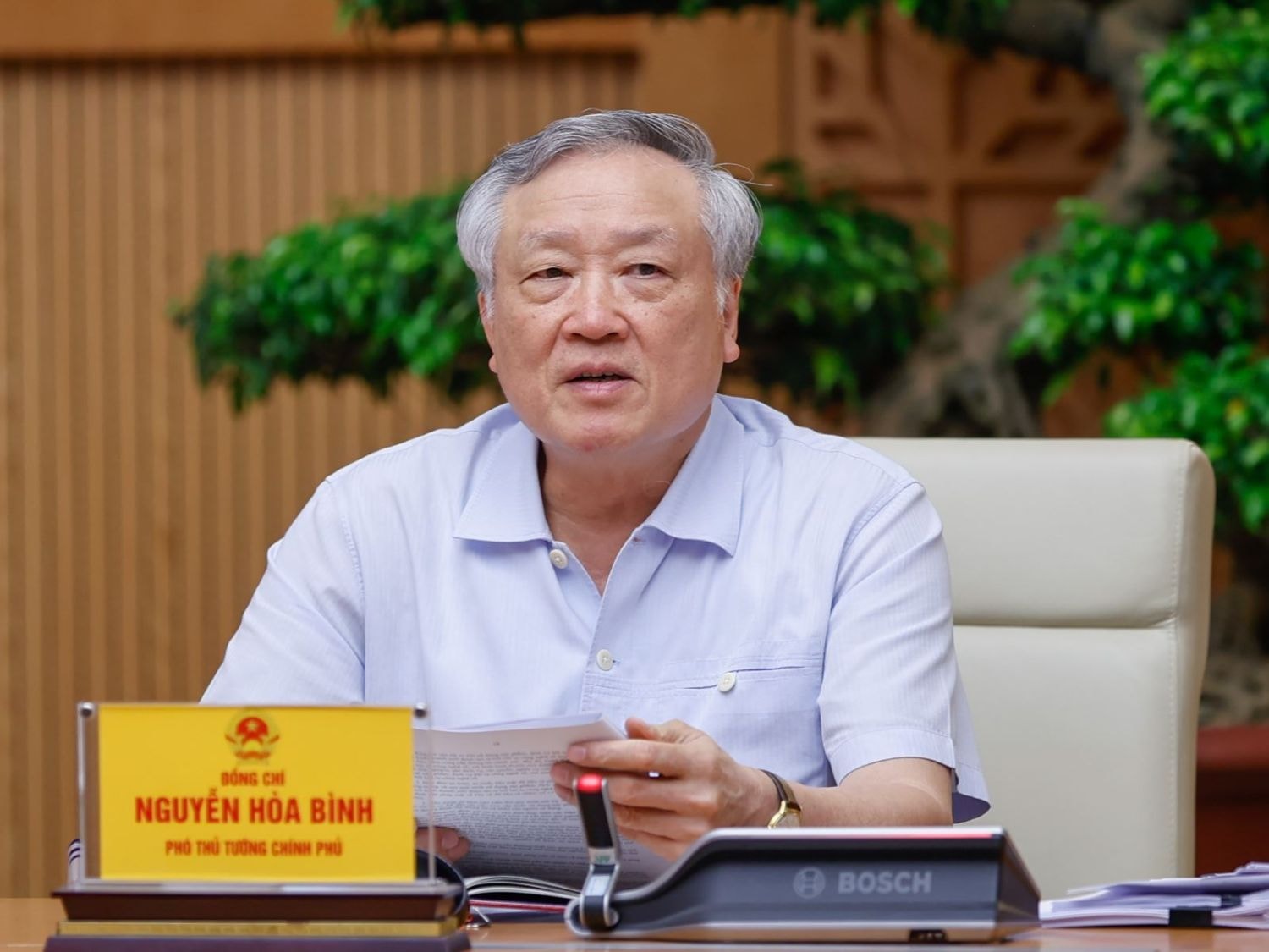 nguyen-hoa-binh-11-9.jpg