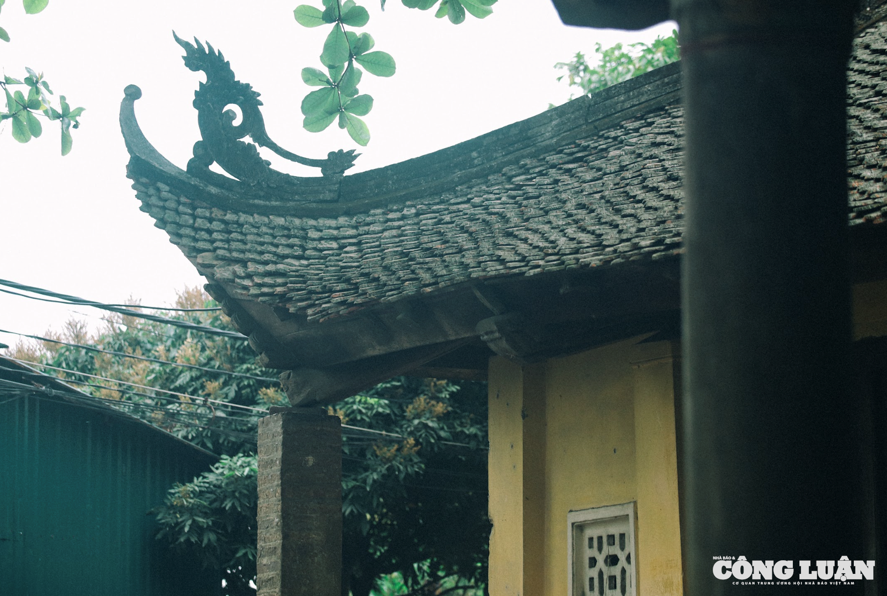 Ảnh màn hình 2025-06-05 lúc 10.52.23