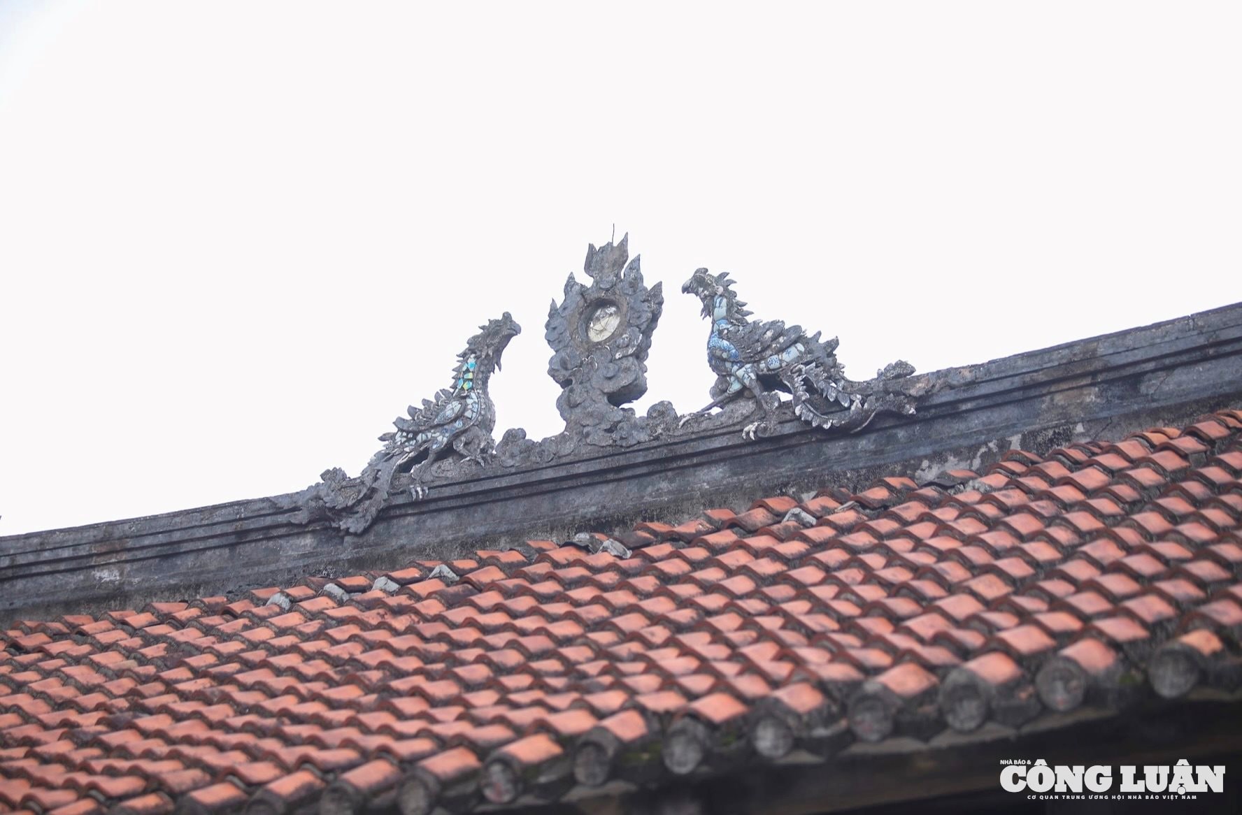 09ba7388-0ba5-4ce1-95dd-5dbf6c521aac_1_201_a.jpeg