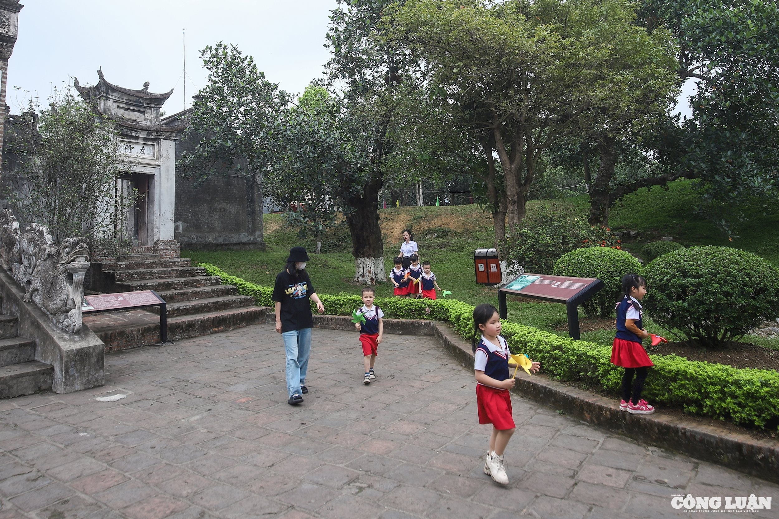 img_0043.jpeg