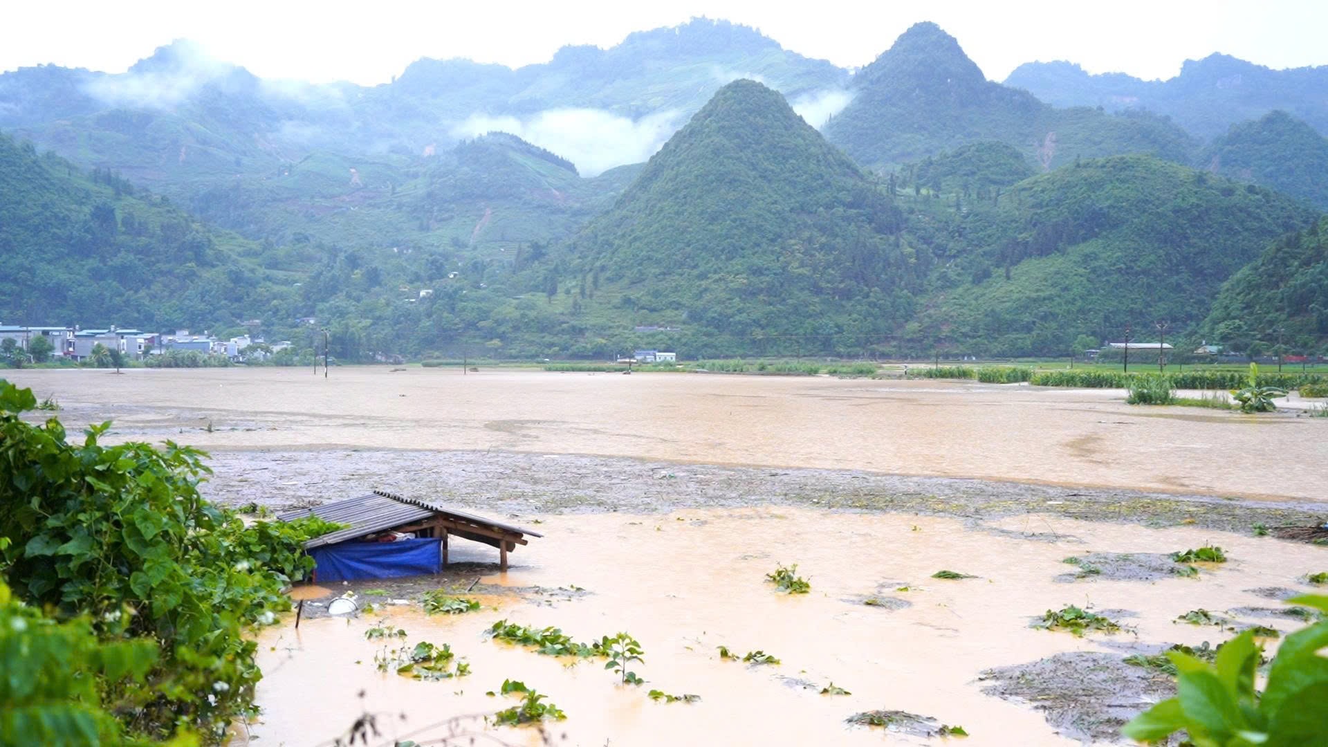 mưa ngập cánh đồng thị trấn Mường Khương