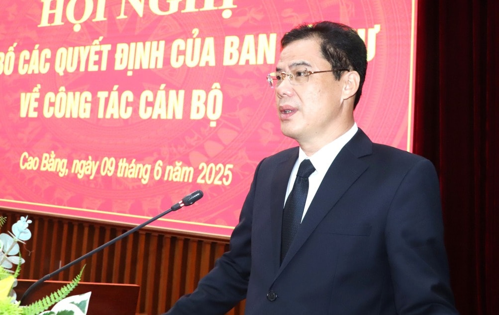 137841_137836_pbt_quang_09025509_09254409.jpg
