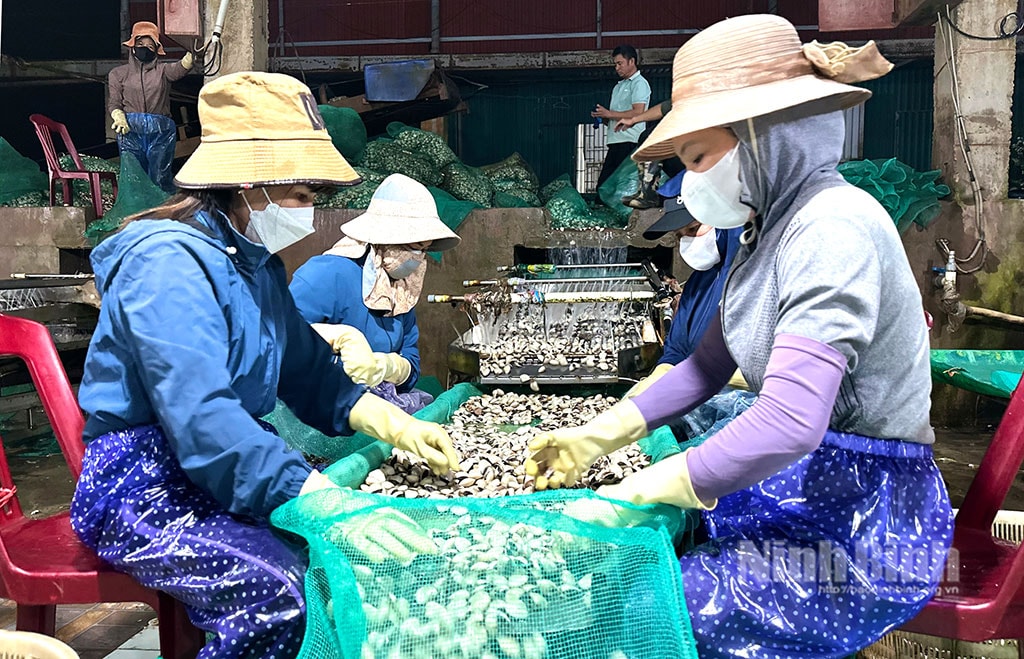 thuy-san-2_1745808398630.jpg