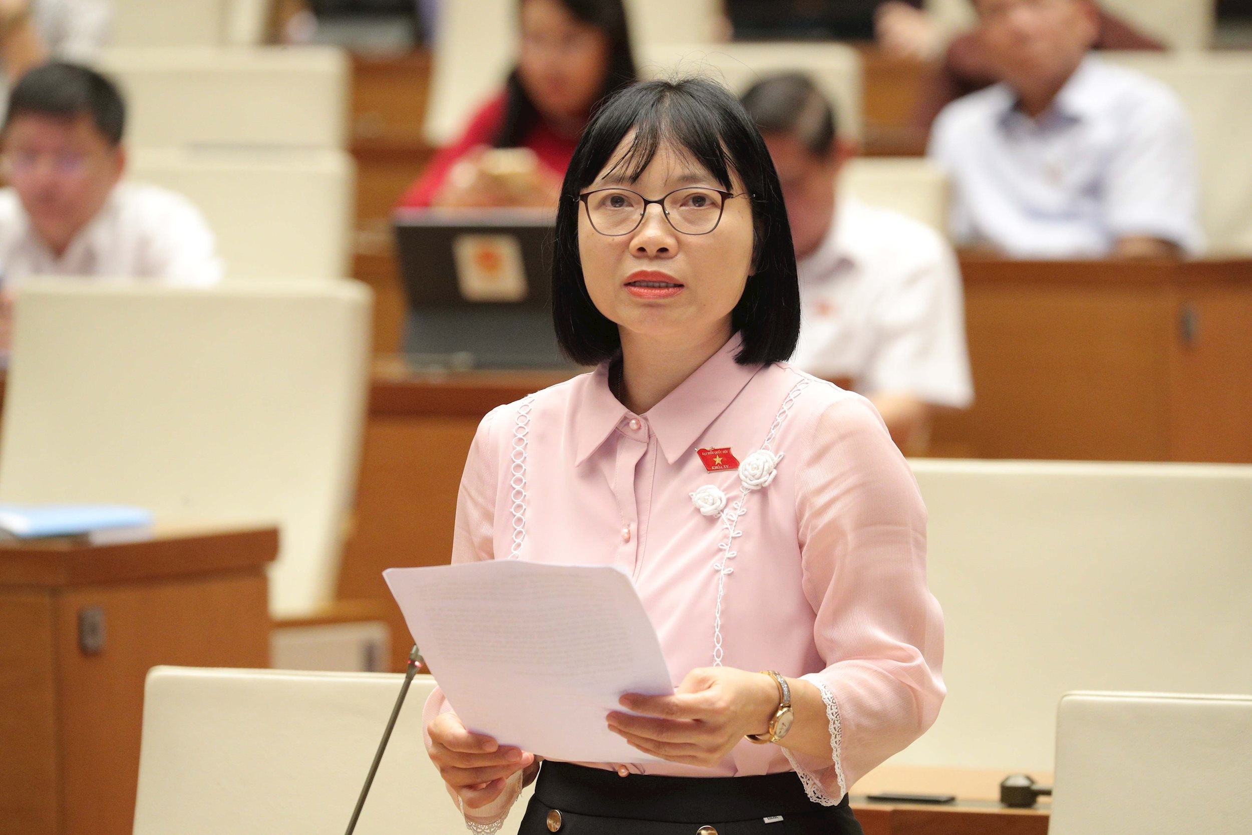 DBQH Nguyễn Thị Việt Nga (Hải Dương)