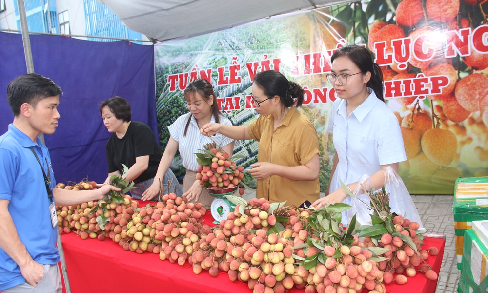 vải thiều