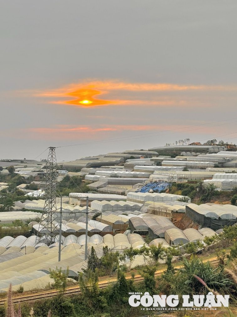 Ảnh màn hình 2025-06-14 lúc 16.21.17