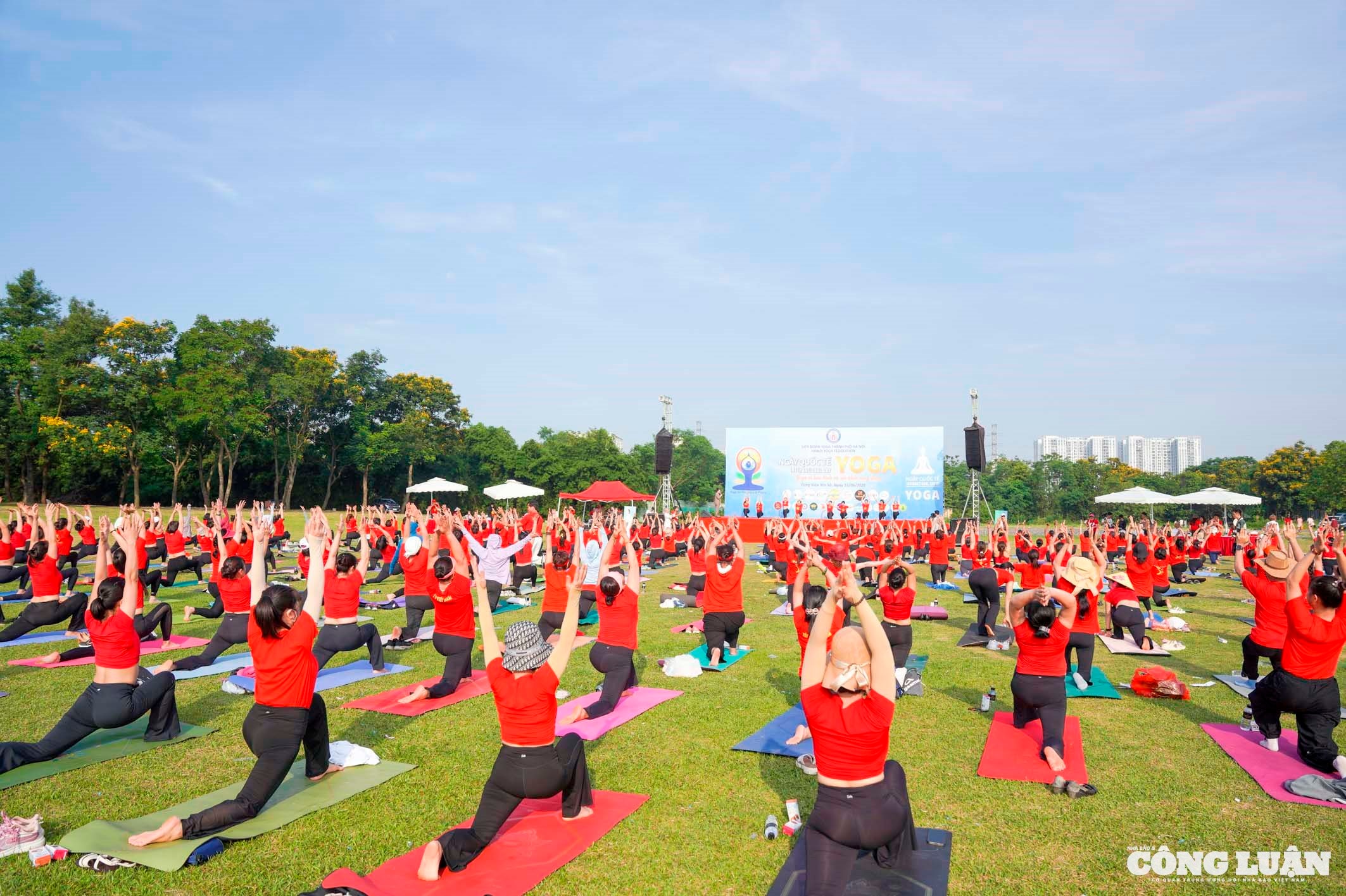 yoga_19.jpg