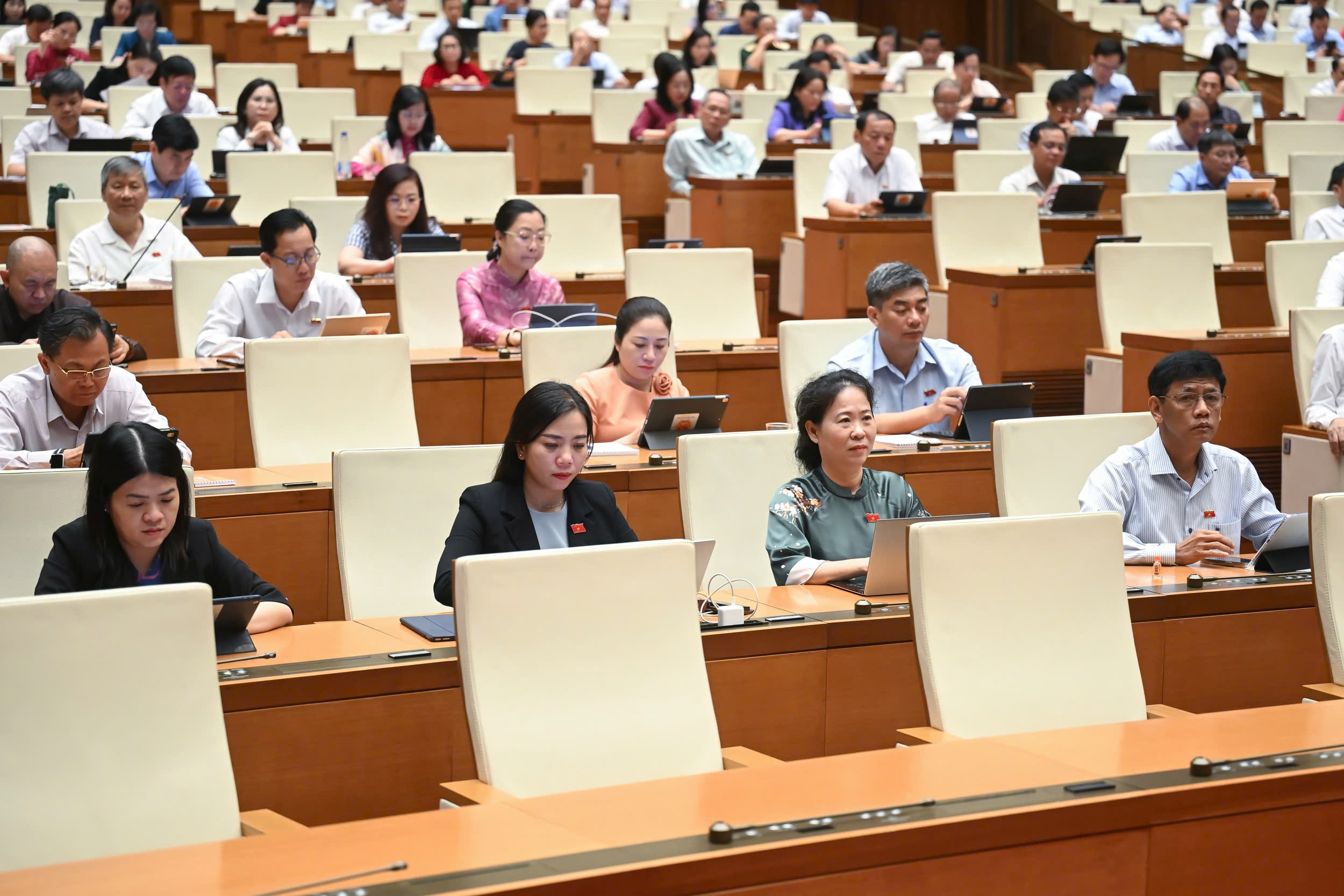 Các ĐBQH dự phiên họp