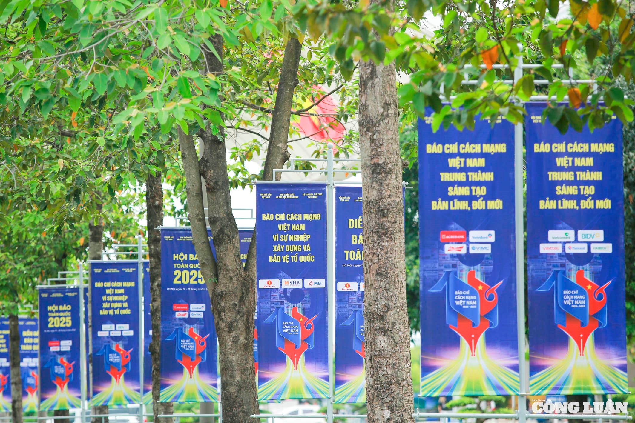 hội báo _31