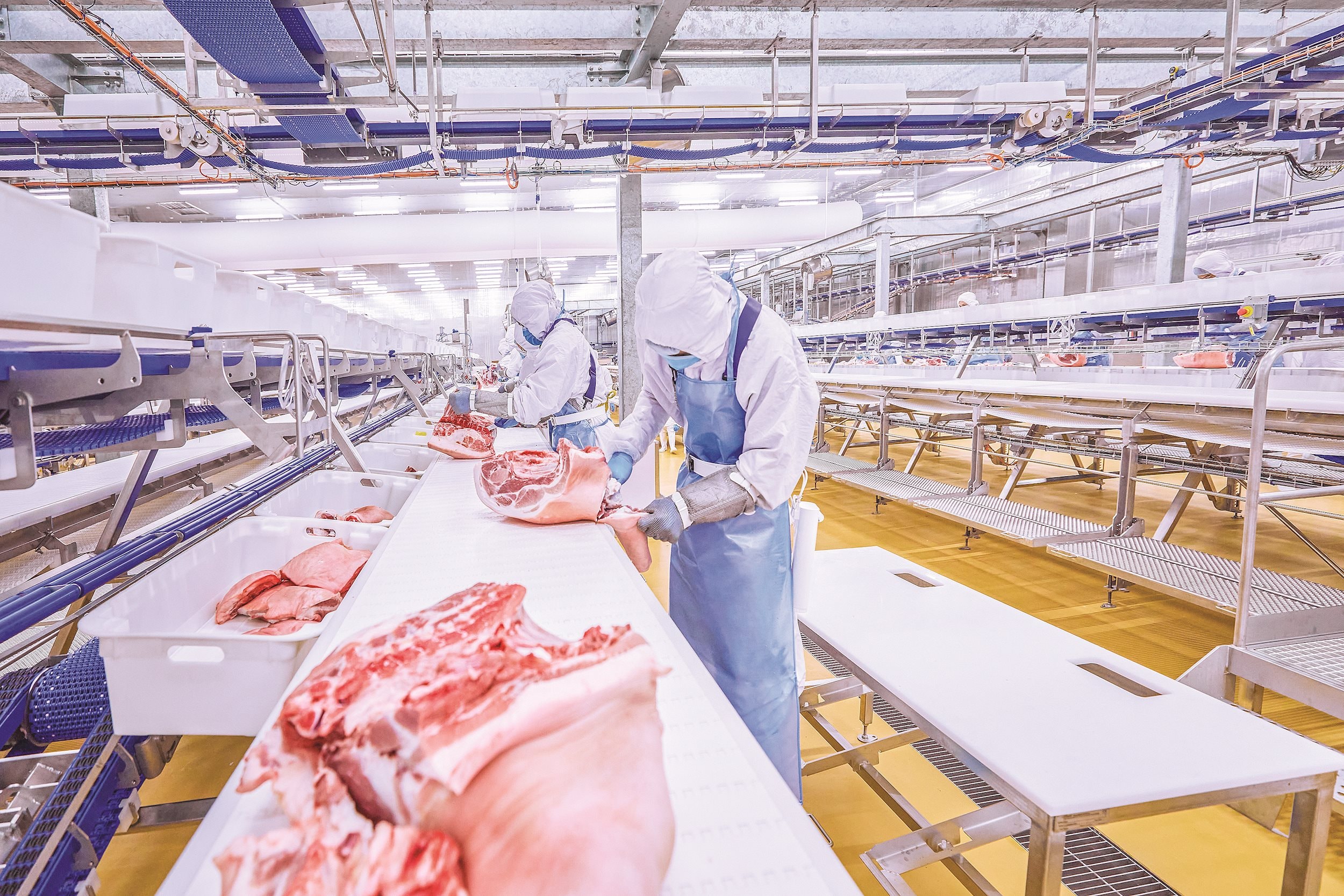 Thịt ủ mát MEATDeli tươi ngon mềm mọng nhờ quy trình ủ mát chuẩn Âu 3 bước