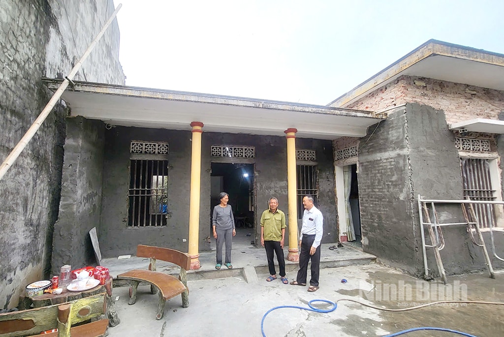 tp-hoalu_1744183130126.jpg