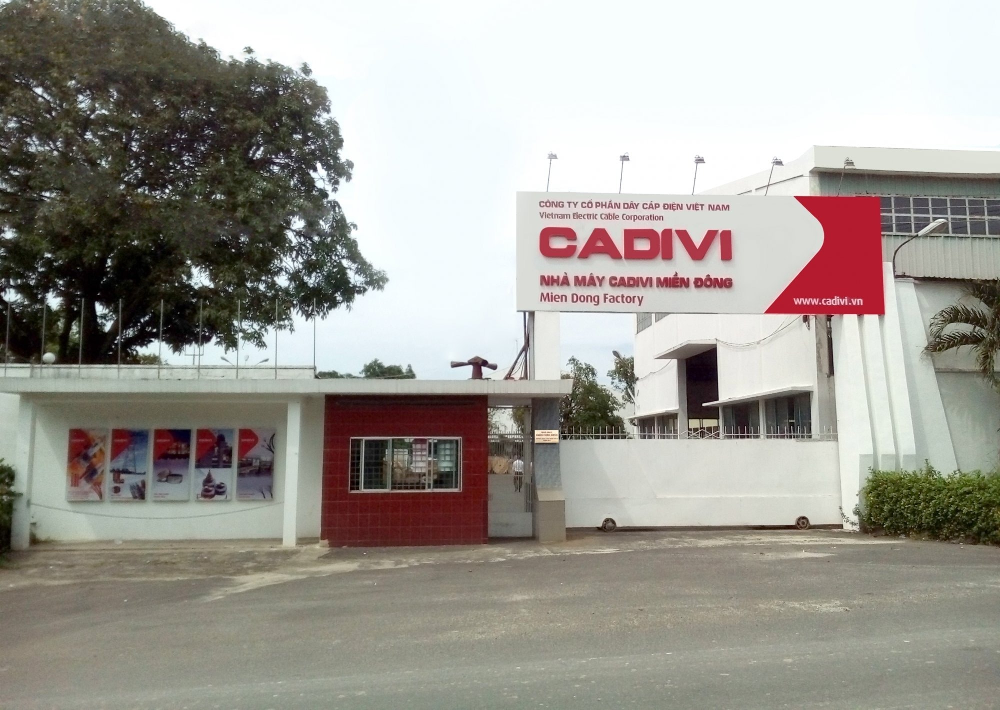 cadivi miền đông