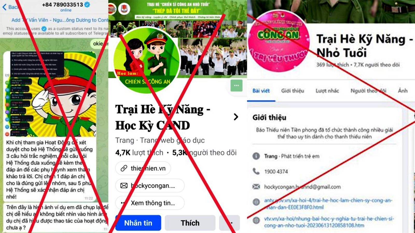 traihe-luadao1.jpg