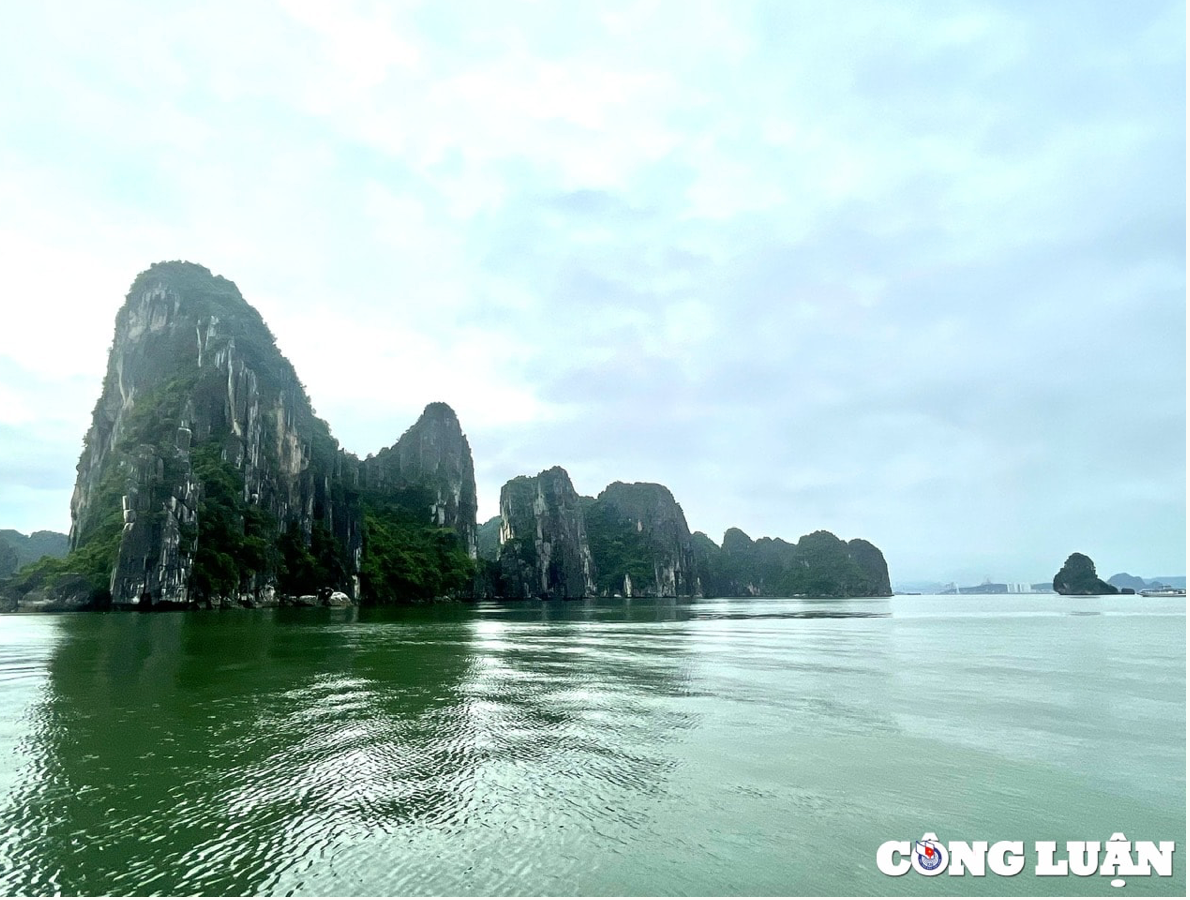 Ảnh màn hình 2025-06-23 lúc 05.11.56