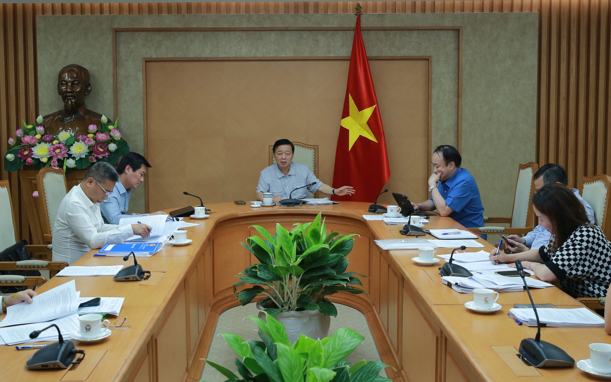 cay-xanh-3-17506803836631882195454.jpg