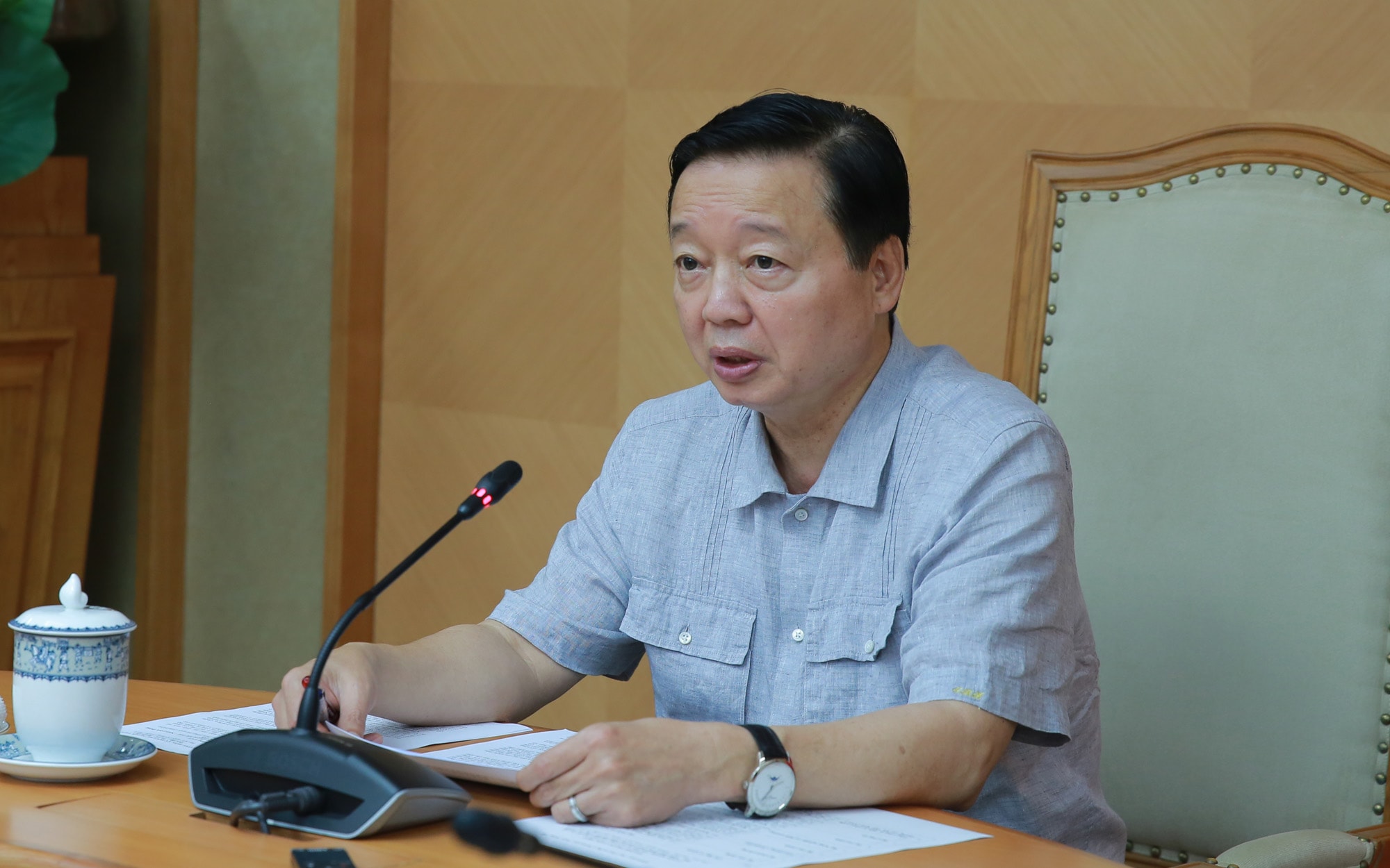 cay-xanh1-17506803836231661788378.jpg