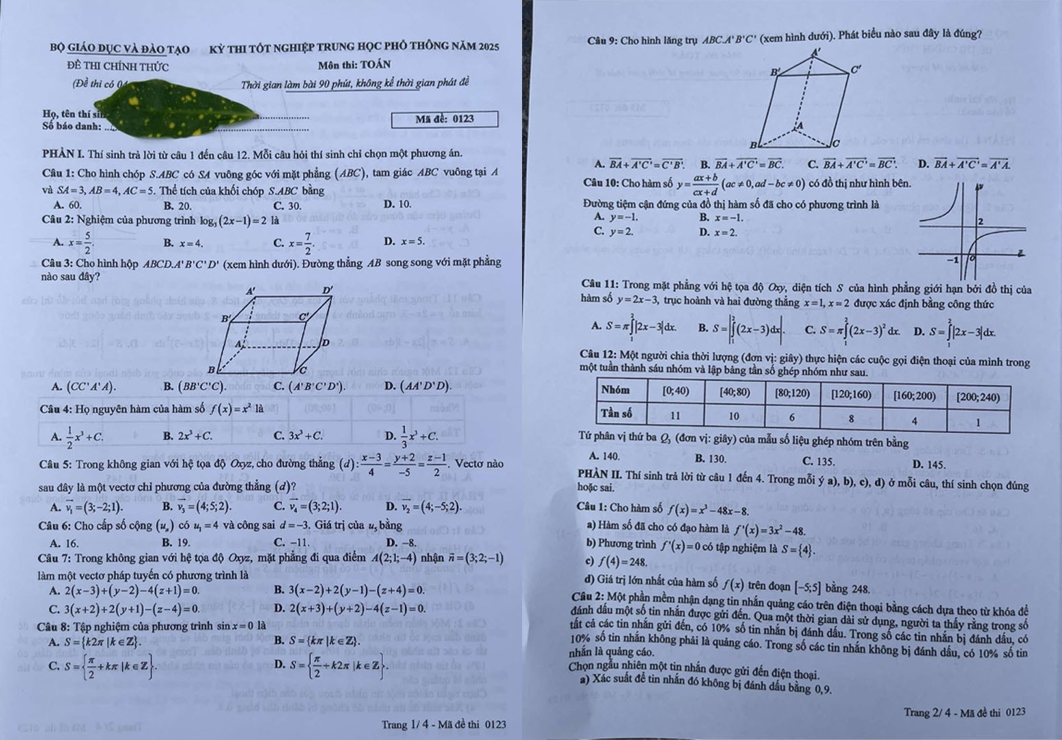 123.jpg