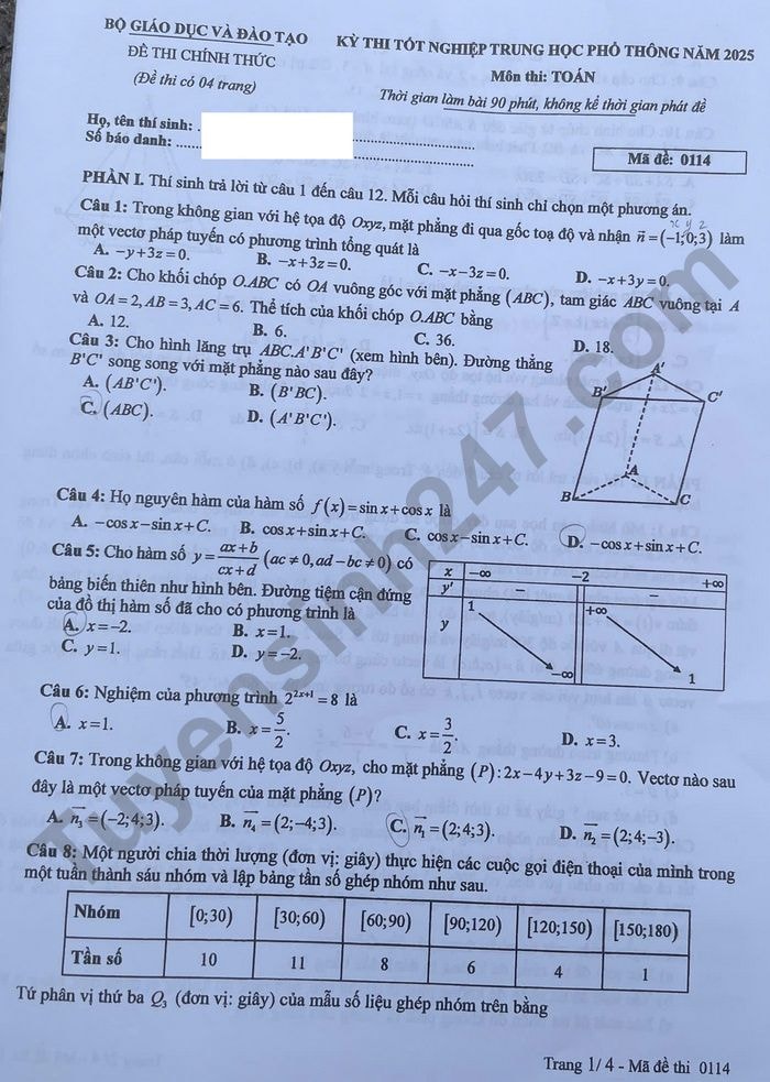 d1141.jpg