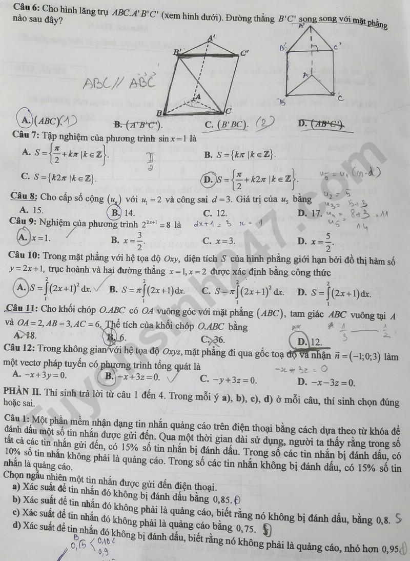 d1162.png