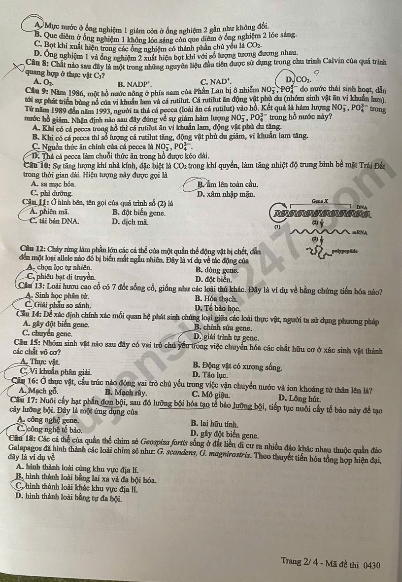 2(4).jpg