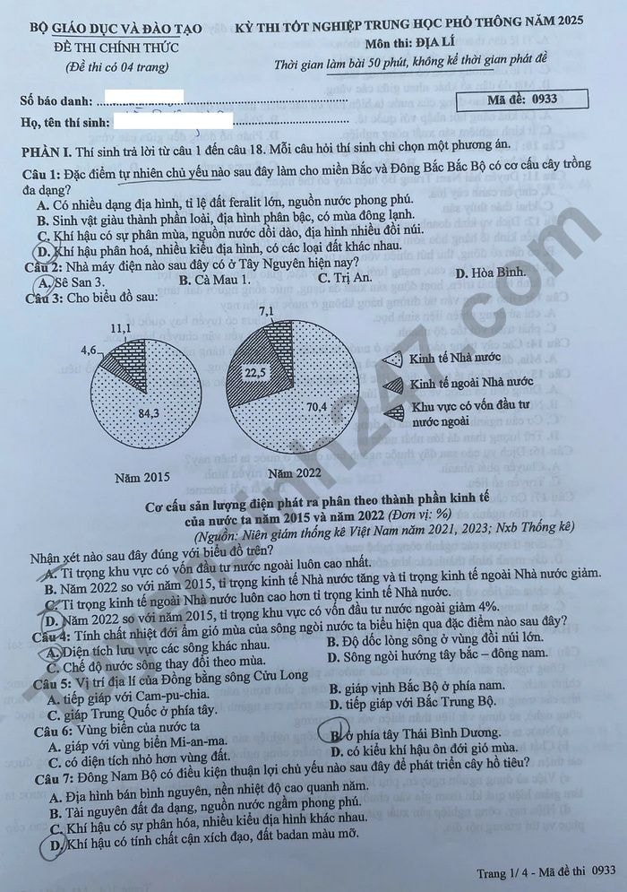 d1(1).jpg