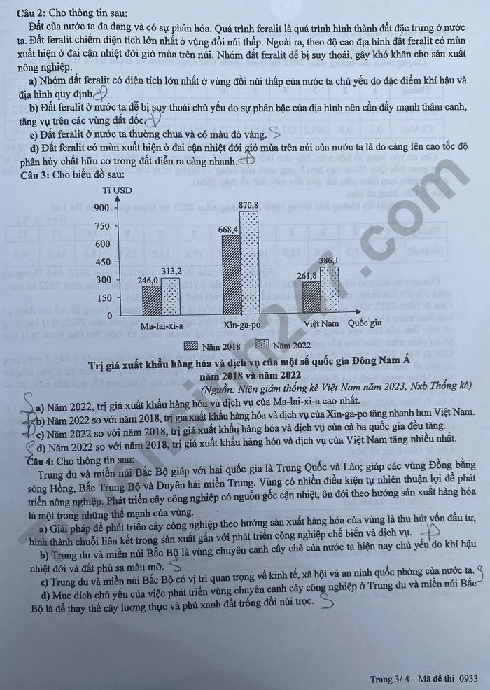 d3(1).jpg