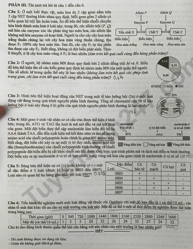 đáp án môn Sinh Học mã đề 04424