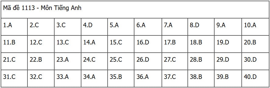 data113.jpg