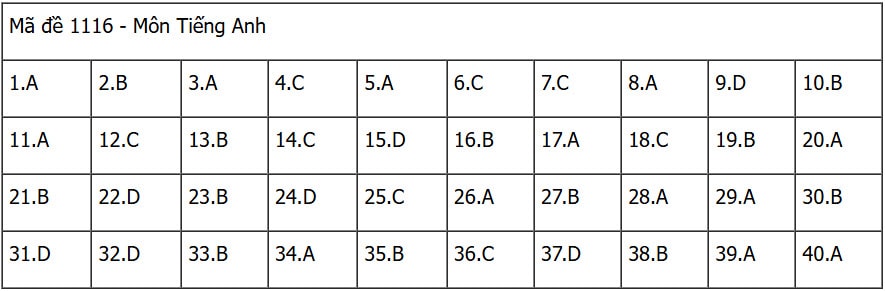 data116.jpg