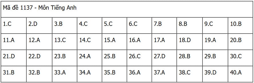 data137.jpg
