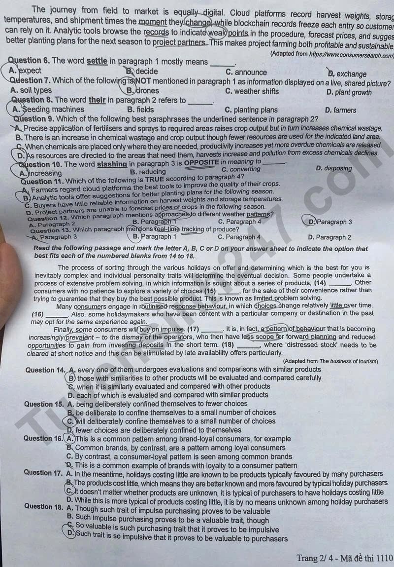de-anh-thpt-1110-2-result_1.jpg