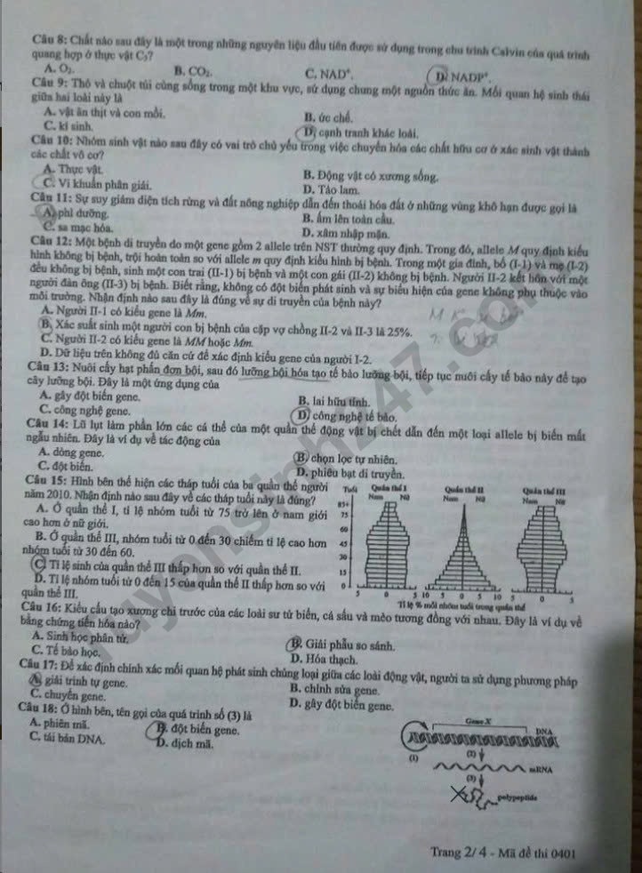 de-thi-tot-nghiep-thpt-mon-sinh-ma-01-2-result.jpg