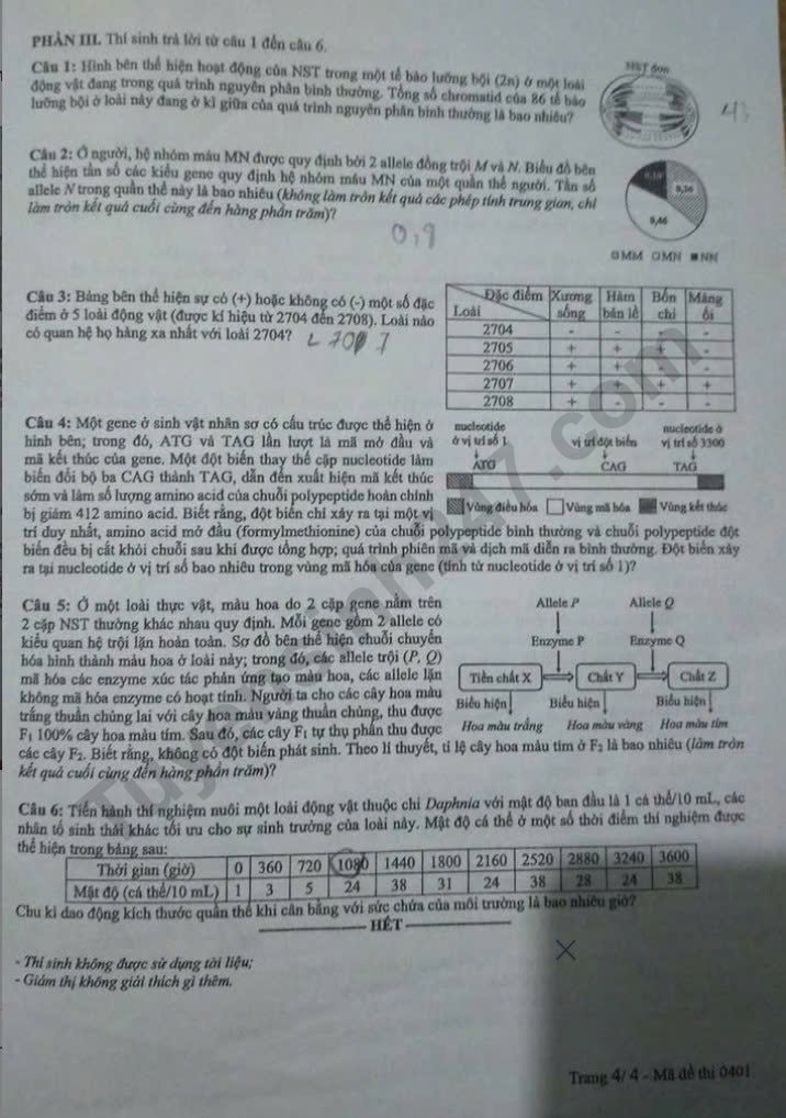 de-thi-tot-nghiep-thpt-mon-sinh-ma-01-4-result.jpg