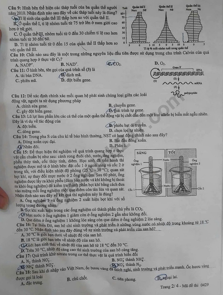 de-thi-tot-nghiep-thpt-mon-sinh-ma-29-2-result.jpg