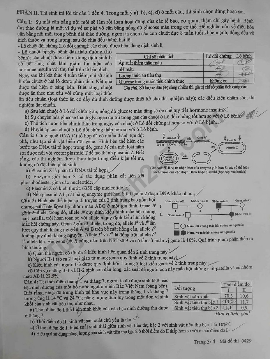 de-thi-tot-nghiep-thpt-mon-sinh-ma-29-3-result.jpg