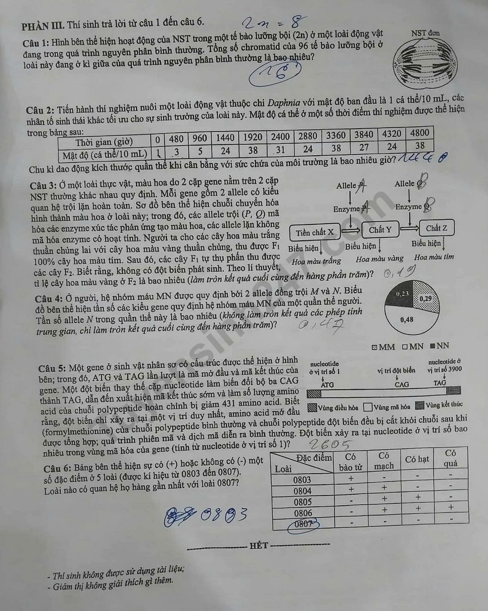 de-thi-tot-nghiep-thpt-mon-sinh-ma-29-4-result.jpg