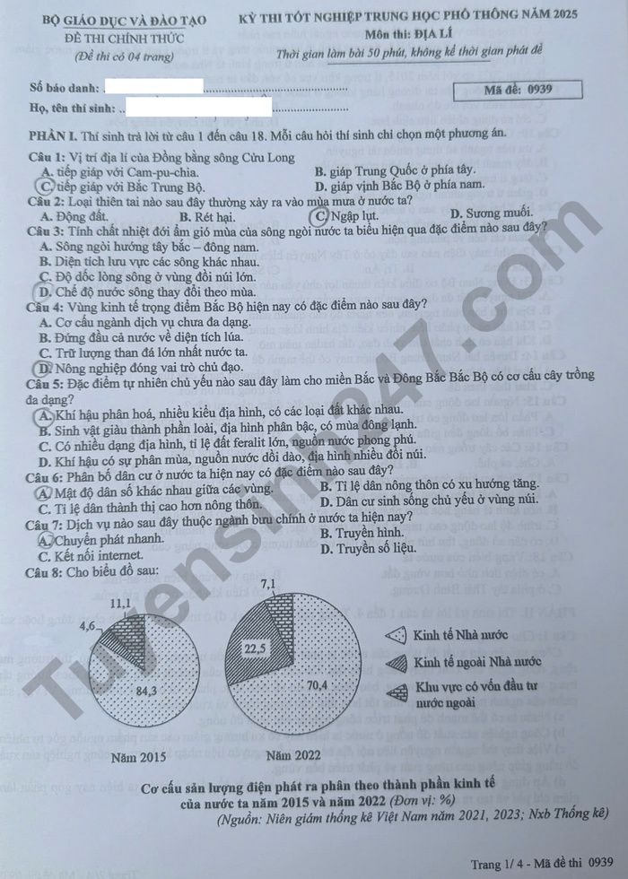 dl391.jpg