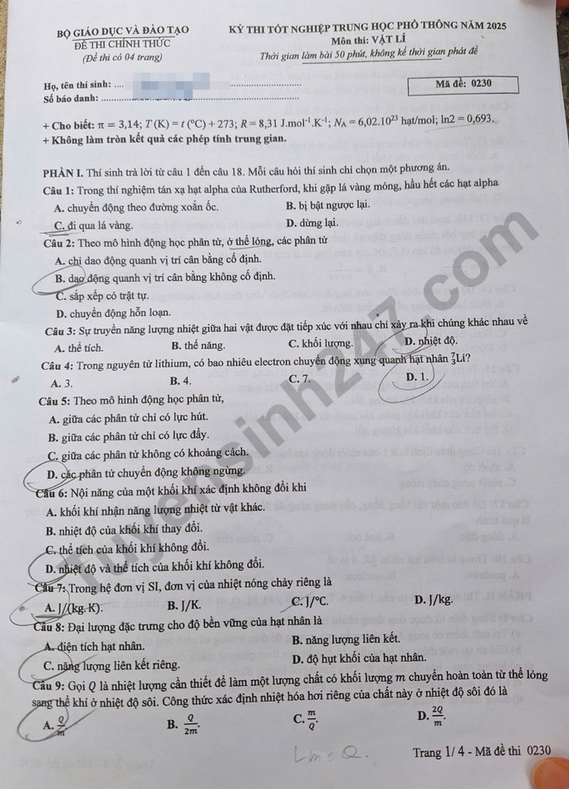 l1(1).jpg